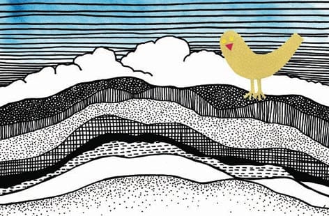 An amazing bird in a coalmine